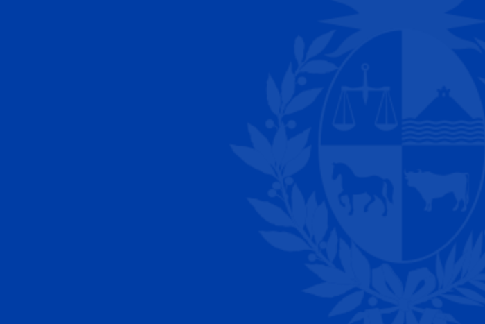 Logo MEF